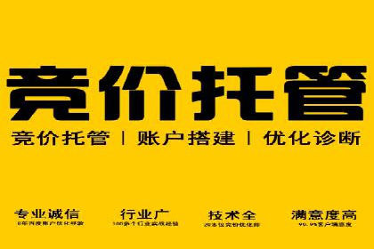 SEM竞价代运营：案例展示数据分析与应用